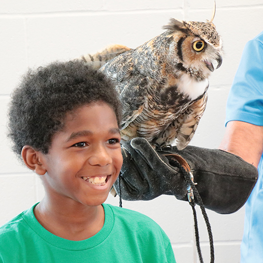 A young boy poses with an owl held by its caretaker 